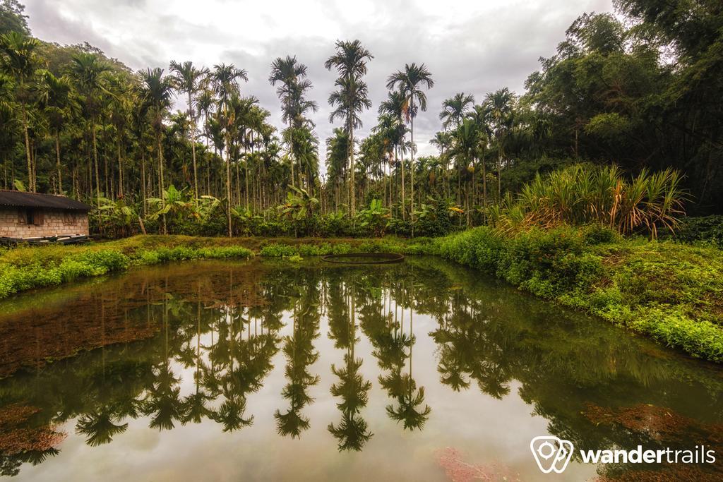 Whispering Willows Gudalur  Экстерьер фото